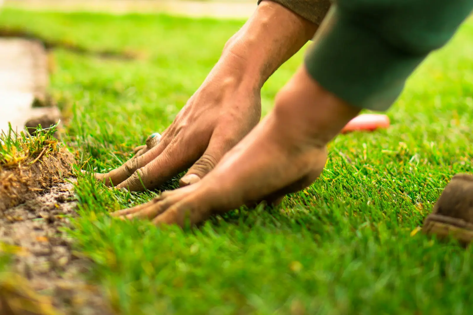 Hands pressing a fresh strip of green sod into place