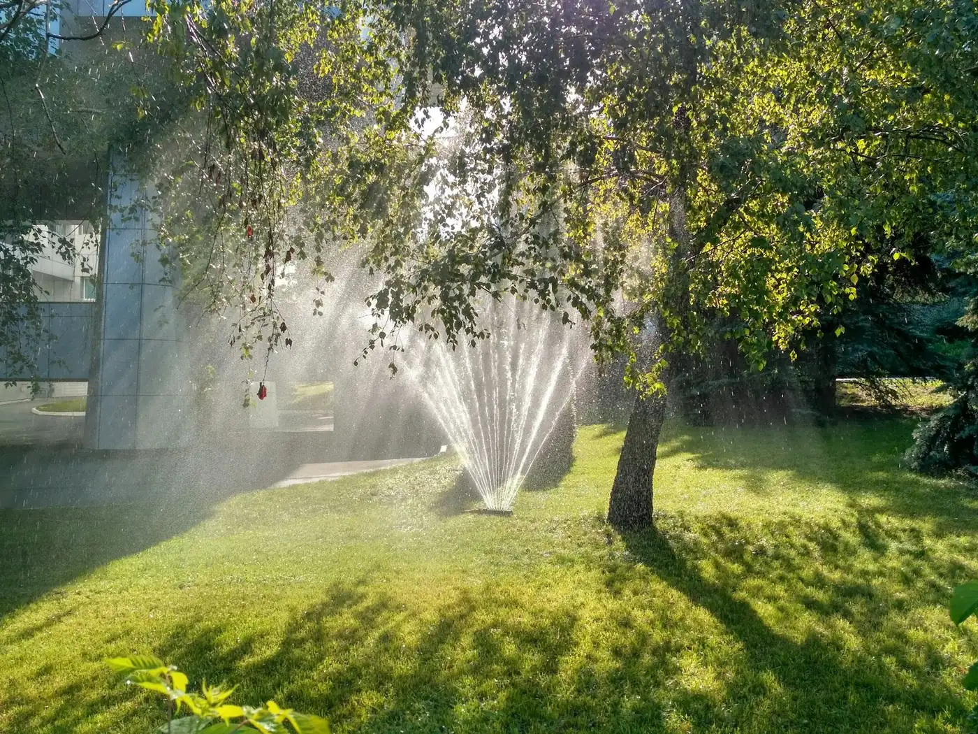 Sprinkler spraying water over a sunlit lawn under trees